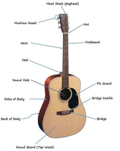 The Parts of the Acoustic Guitar Diagram