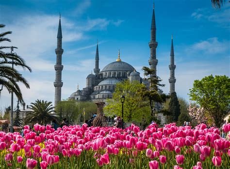 Blue Mosque - Istanbul Tour Studio – Istanbul Guide