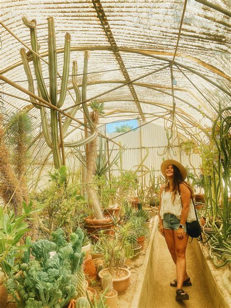 Palm Springs: 11 Things You Must Do When You Visit - Nicole Leilani Blog