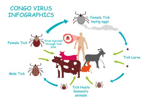 What we need to know about Crimean Congo fever - آزمایشگاه تشخیص طبی و ...