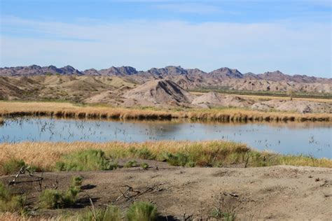 Green Goods Shares Its Favorite Las Cruces Hiking Trails