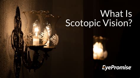 Here’s What to Know About Scotopic Vision - EyePromise