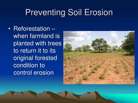 PPT - Preventing Soil Erosion PowerPoint Presentation, free download ...