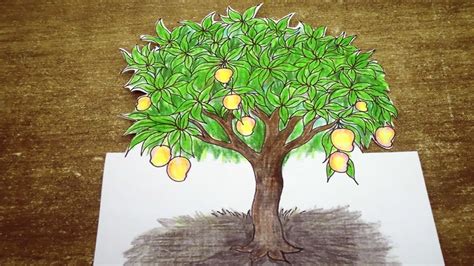 Mango Tree Drawing For Kids / Drawing mango is a very easy task.