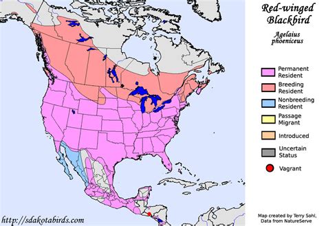 Red-winged Blackbird - Species Range Map