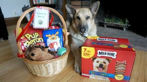 Make the Perfect Dog Christmas Gift Basket - with Printable Dog Gift ...