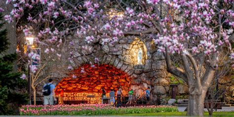 Grotto of Our Lady of Lourdes | Locations | Campus Tour | University of ...