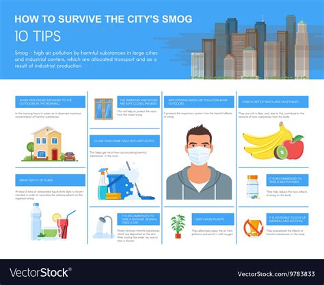 Smog infographic how Royalty Free Vector Image