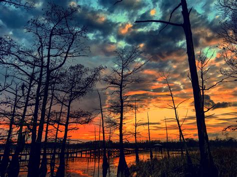 Black Bayou National Wildlife Rufuge : r/Louisiana