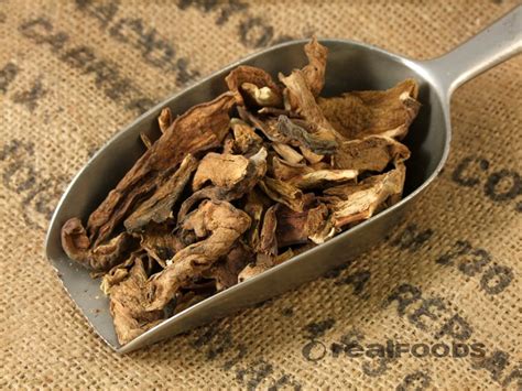 Wild Porcini Mushrooms Dried