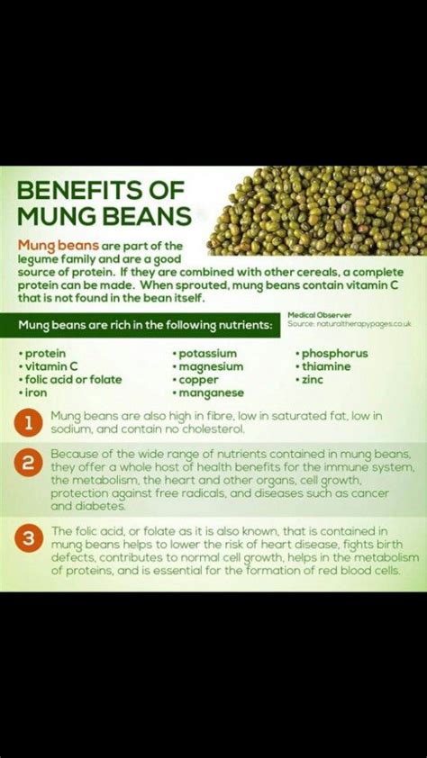 7 benefits of mung beans nutrition recipes side effects – Artofit