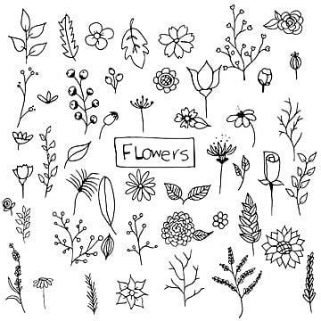 Hand Drawn Flowers PNG Transparent Images Free Download | Vector Files ...