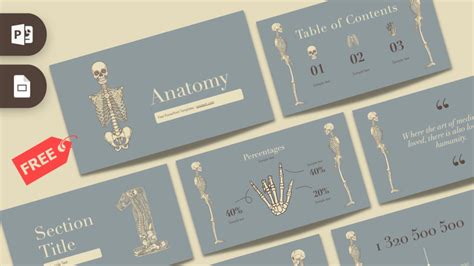 Free Anatomy PowerPoint Template - Prezentr