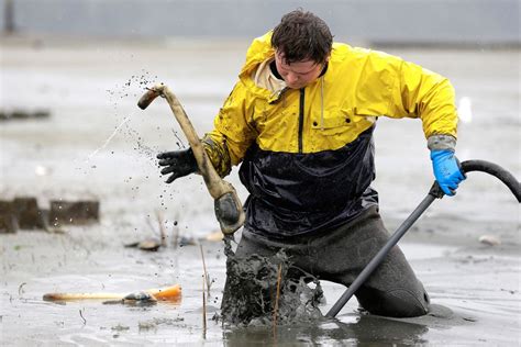 Geoduck farming takes off as demand for clams grows in Asia | The ...