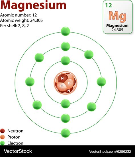 Magnesium atom Royalty Free Vector Image - VectorStock