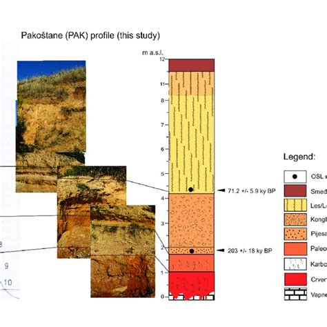 Loess profile and paleosols southeast of Pakoštane (1-10 are marked ...