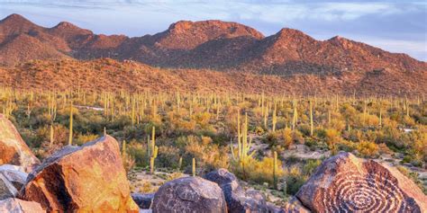 Saguaro National Park | Visit Arizona