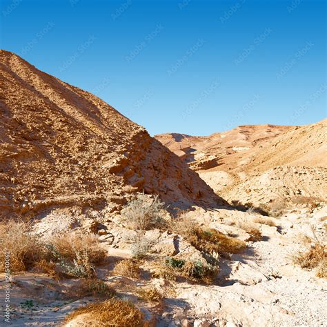 Negev Desert Stock Photo | Adobe Stock