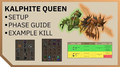 Kalphite Queen 🪲 SETUP + PHASE GUIDE + EXAMPLE KC 📒 OSRS Old School ...