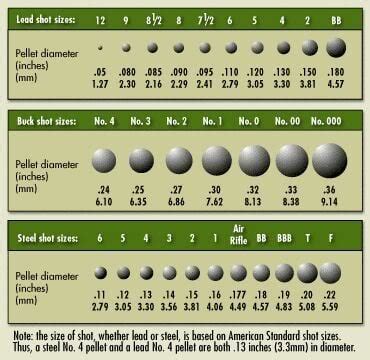 Demystifying Shotgun Shell Terms - Pew Pew Tactical