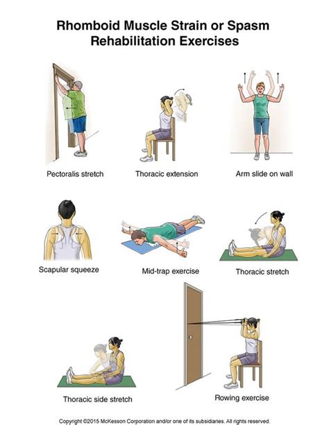 78 Best images about Shoulder Exercises on Pinterest | Muscle, Bone ...