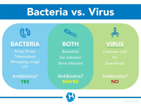 Viruses vs Bacteria - when do we use antibiotics? - Your Health Hub ...