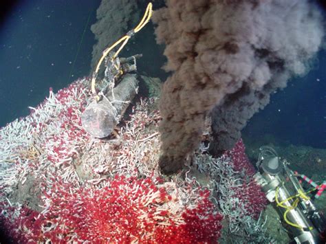 Jeff's (2nd) Geology Blog: Hydrothermal Vents and Organisms