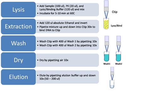 DNA/RNA Sample Extraction