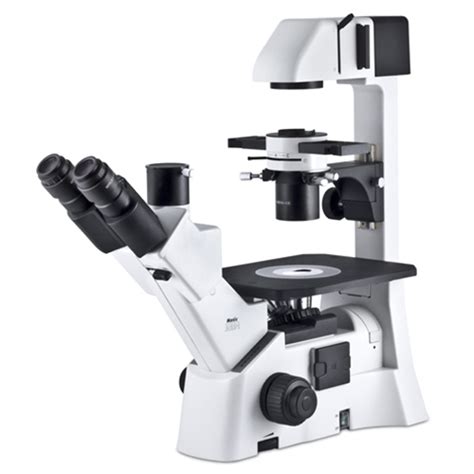 Inverted Microscope - Motic AE31 Elite - Inverted Biological Microscope