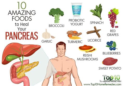 Location Of the Pancreas 10 Amazing Foods to Heal Your Pancreas ...