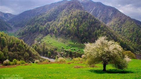 Nature Parks Of Azerbaijan - Caspian News