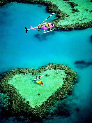 Gallery - Heart reef australia