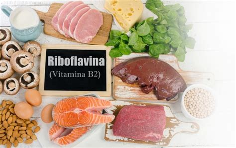 Riboflavina: para que serve, alimentos, deficiência e como usar | Dr. Saúde