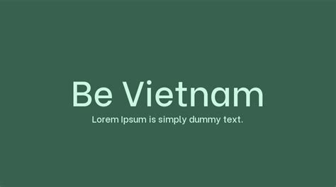 Be Vietnam Pro: download for free and install for your website or ...