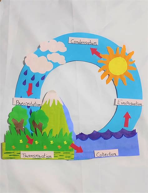 Water Cycle Diagram For Class 7