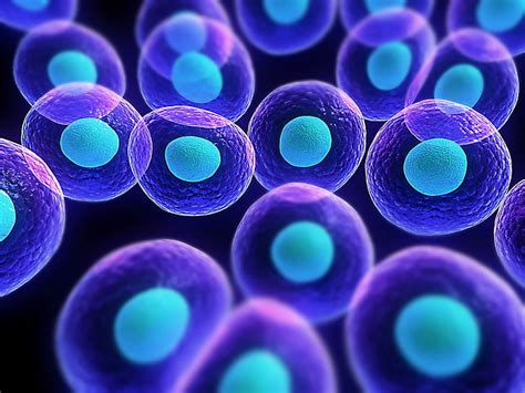 HD wallpaper: purple and blue molecules, cells, biology , science ...