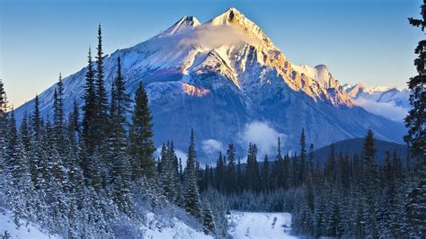 Alberta, Banff National Park, Canada, mountains, trees, snow, road ...