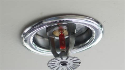 Ceiling Sprinkler Head Types | Shelly Lighting