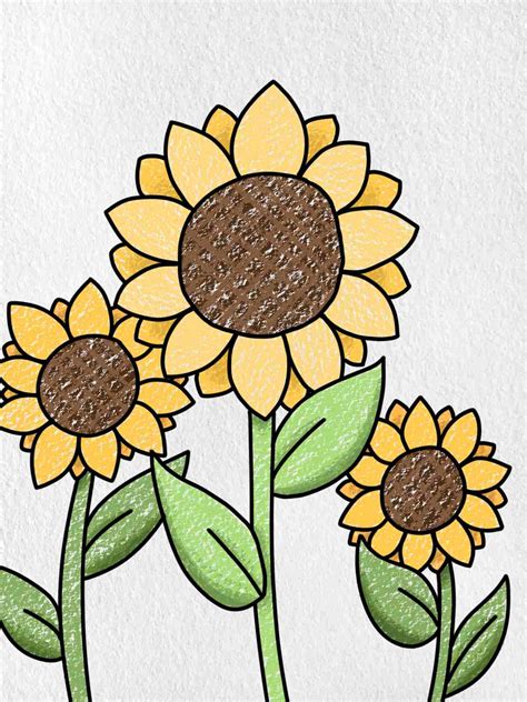 How to Draw Sunflowers - HelloArtsy