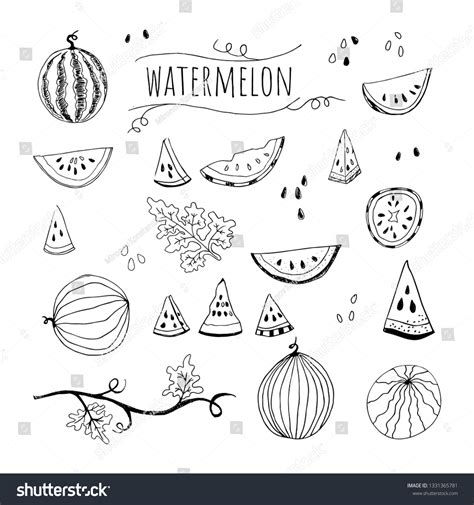 Hand Drawn Sketch Style Watermelon Set Stock Vector (Royalty Free ...