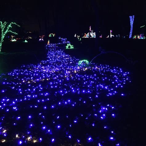 Meadowlark Botanical Gardens Winter Walk of Lights - Adventures in DC