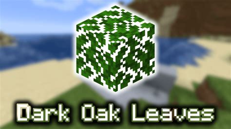 Dark Oak Leaves - Wiki Guide - 9Minecraft.Net