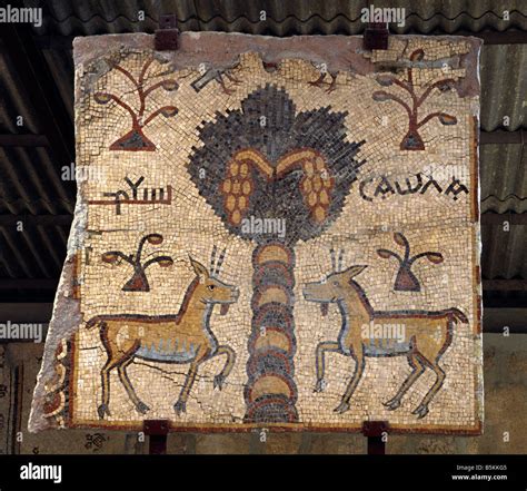 Mount Nebo Basilica of Moses Jordan Mosaic Stock Photo - Alamy