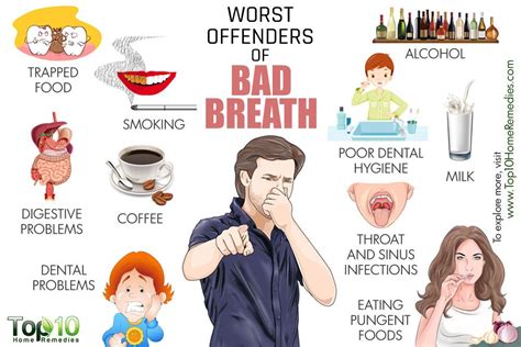 Common Causes of Bad Breath and Ways to Reduce It | Nha khoa, Sức khỏe ...