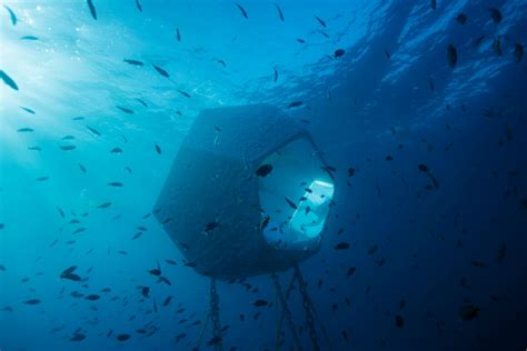 Take Two® | Audio: Art installation ‘Underwater Pavilions’ brings you ...