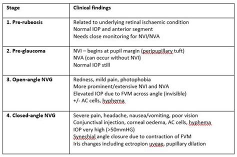 Neovascular glaucoma - nzoptics