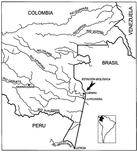 Detail of the Amazon River and tributaries, including the study site at ...