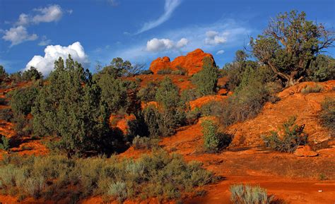 10 Beautiful Pictures of Vermilion Cliffs National Monument