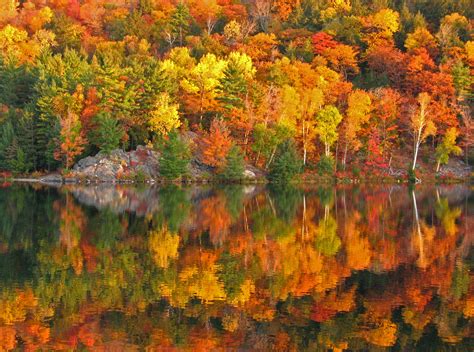 The Best Places to See Fall Foliage in New Hampshire's Lakes Region