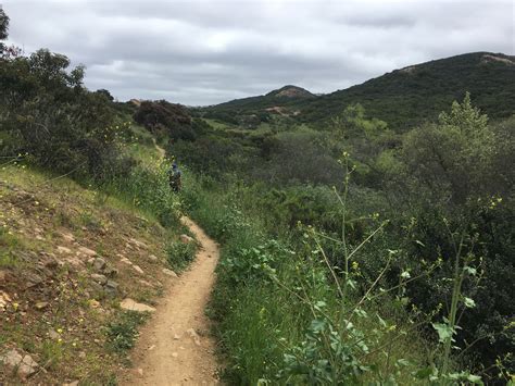 Los Penasquitos Canyon Preserve Hike Friday March 29 9:30AM